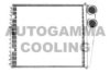 AUTOGAMMA 105328 Heat Exchanger, interior heating